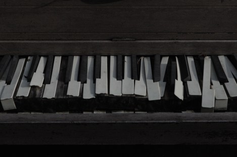 Crédit photo : Céleste Godin.