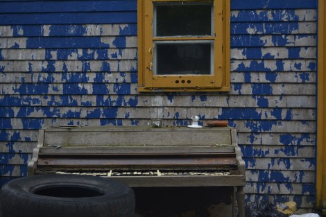 Crédit photo : Céleste Godin.